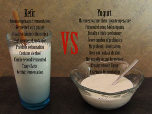 9 Important Differences Between Kefir And Yogurt – Urban Fermentation