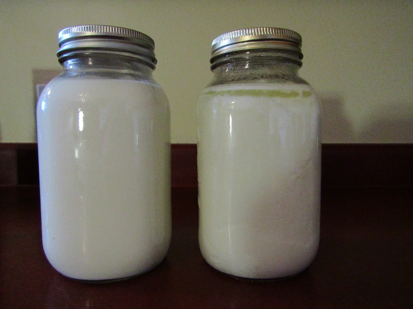 Is the Clear Liquid on Top of Yogurt Edible – Urban Fermentation