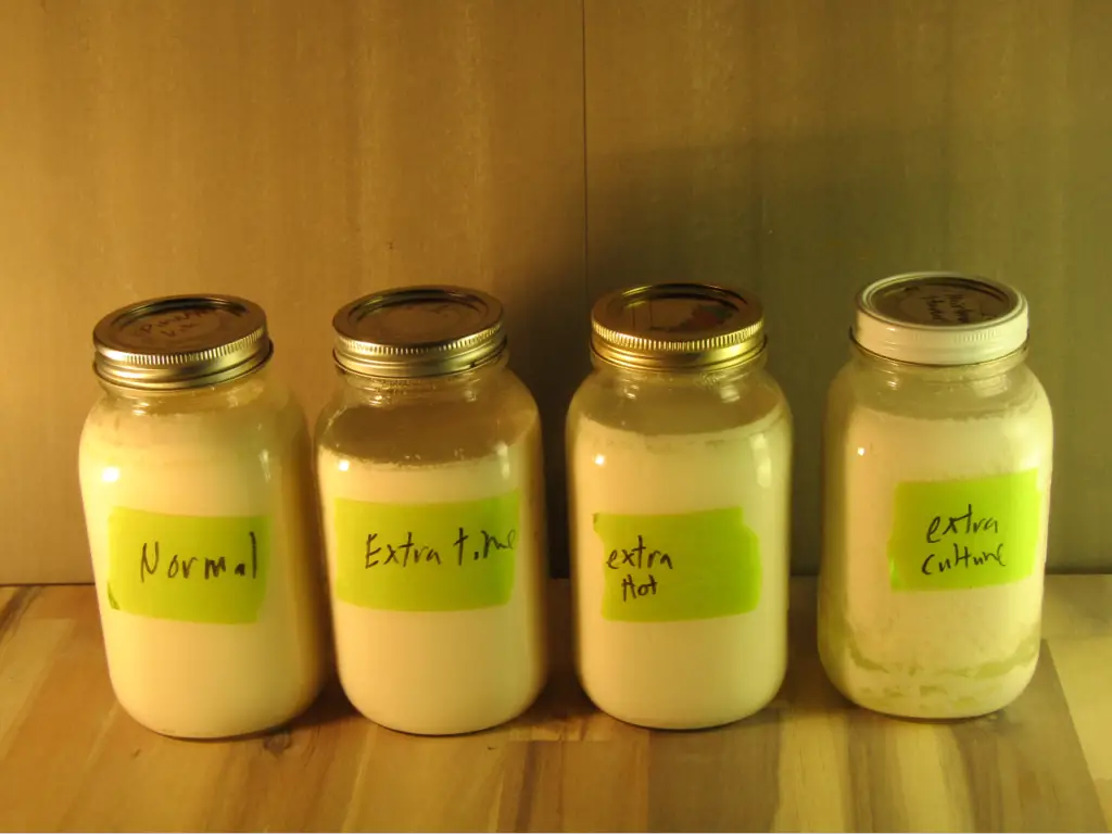 Is the Clear Liquid on Top of Yogurt Edible – Urban Fermentation