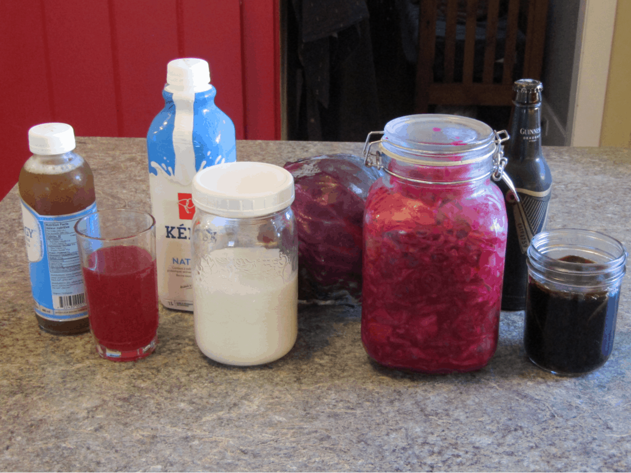 Four types of Fermentation