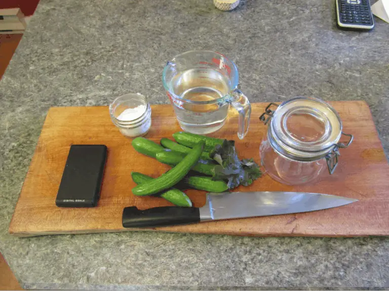 Six Steps To Start Fermenting And Four Easy Methods For Beginners Urban Fermentation