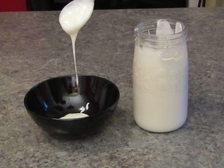 why-homemade-yogurt-gets-slimy-stringy-or-ropey-easy-fixes-uses