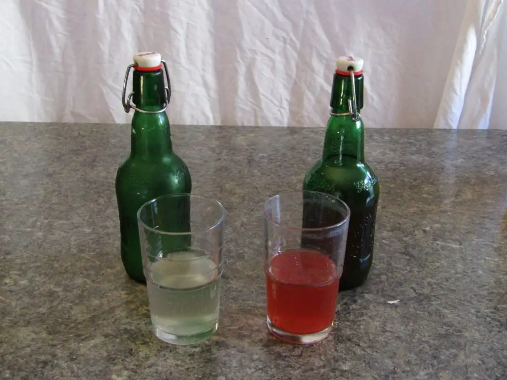 a glass of water kefir and a glass of kombucha with flip top bottles in the background