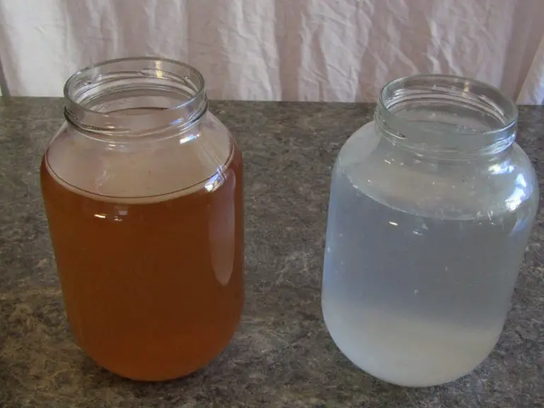 Differences Between Kombucha And Water Kefir Explained – Urban Fermentation