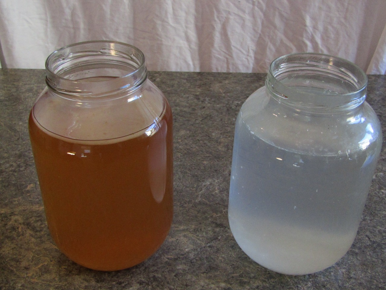 two one gallon jars holding fermenting kombucha and water kefir