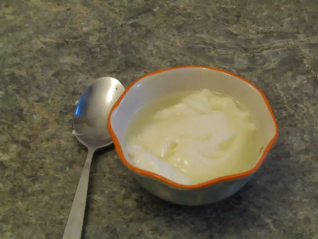 3 Easy Ways To Make Powdered Milk Yogurt – Urban Fermentation