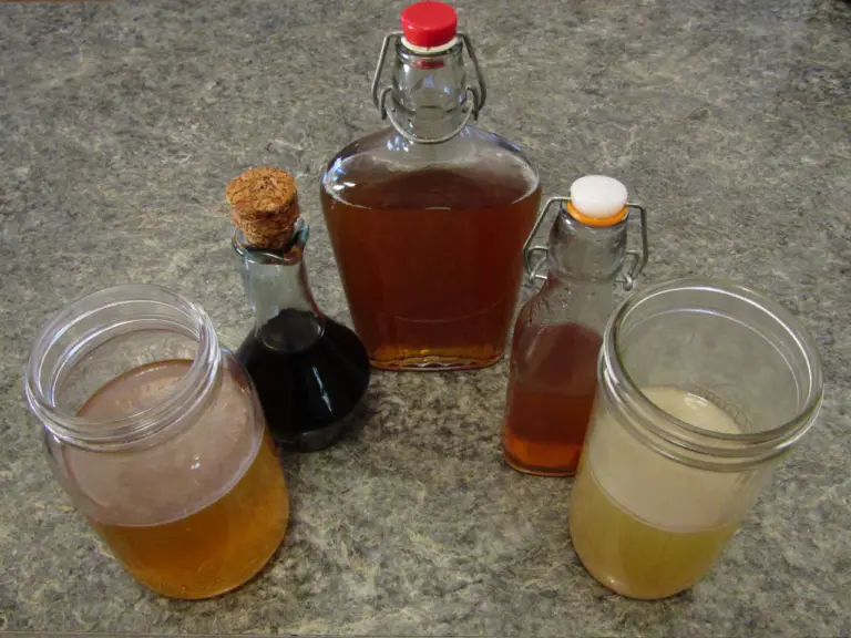 Homemade Vinegar Trouble Shooting Urban Fermentation   Vinegar Making Trouble Shooting 768x576 